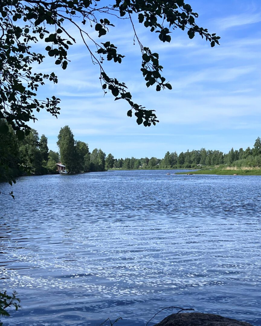 Kesäinen jokimaisema.